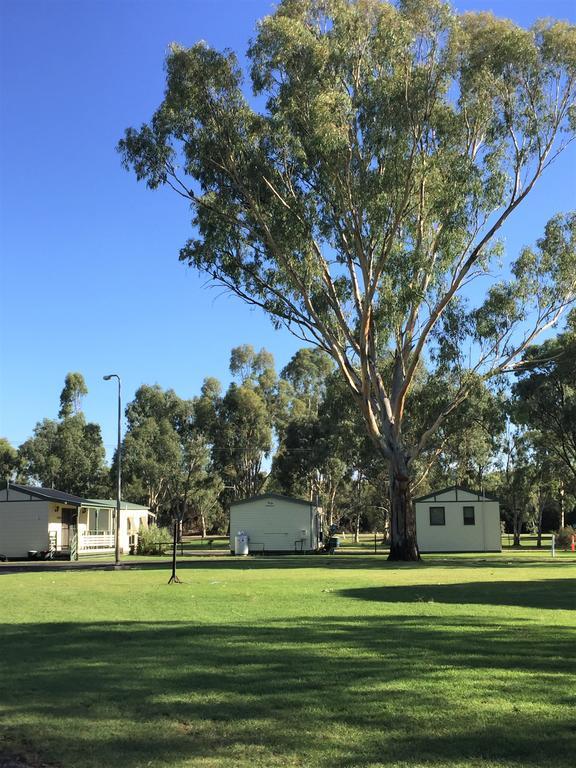 Junee Tourist Park Exterior foto