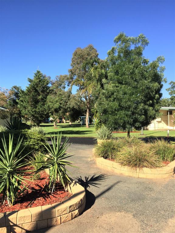 Junee Tourist Park Exterior foto